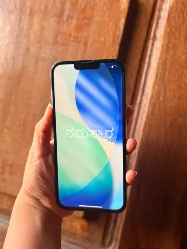 iPhone 13 Pro Max 256GB