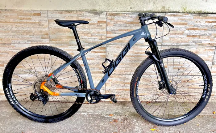 Bike Oggi 7.3