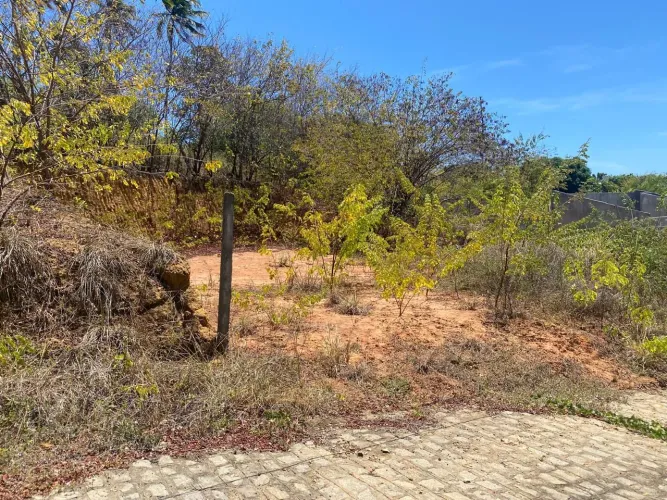 Vendo lote em condomínio fechado em Paripueira