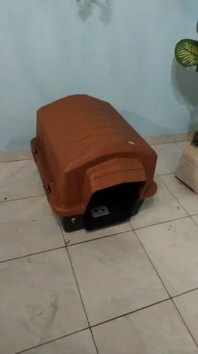 Casinha cachorro porte médio 