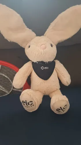 Coelho promocional Elo