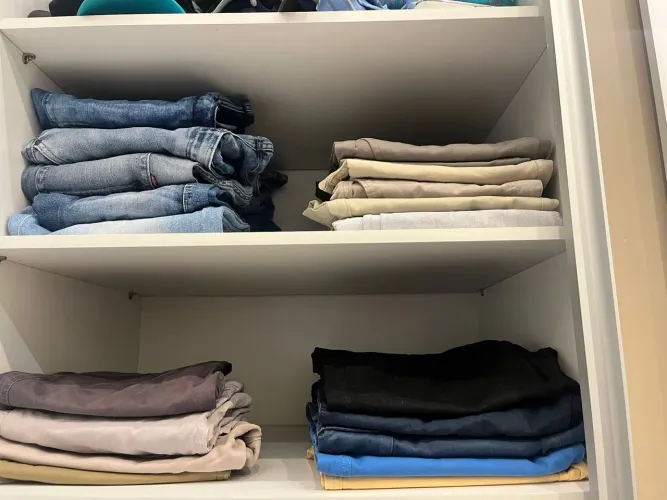 organização