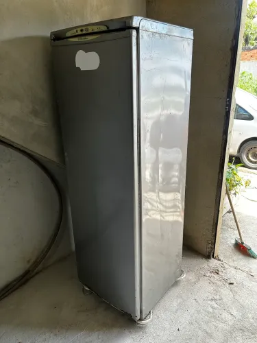 Freezer Electrolux F250