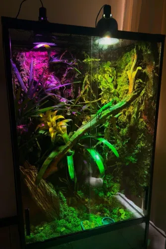 TERRÁRIO BIOATIVO PARA RÉPTEIS ROEDORES OU PLANTAS