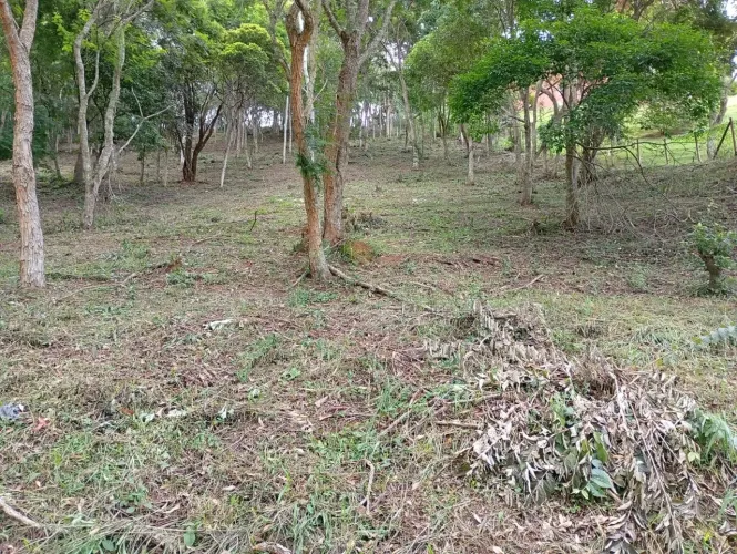 Terreno à venda, Araras/Vale das Videiras, Petrópolis, RJ