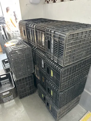 Caixas Hortifruti 55 x 36 x 31 Plástica usadas - preço baixo 