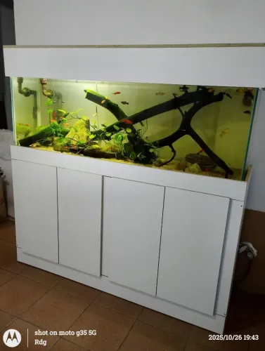 Aquário