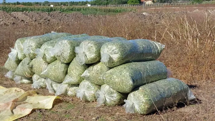 Fazenda a Venda em Carnaubais / RN -191,84 Hectares com Estrutura Completa