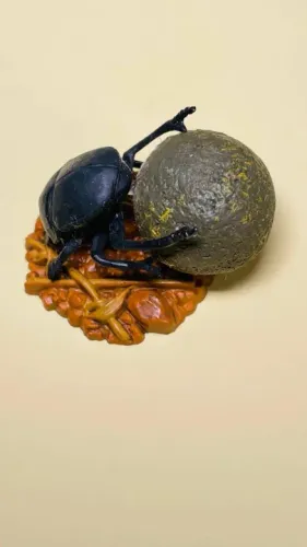 Scarabaeus Typhon - miniatura Escaravelho Rola Bost - altura 2 cm - besouro miniatura