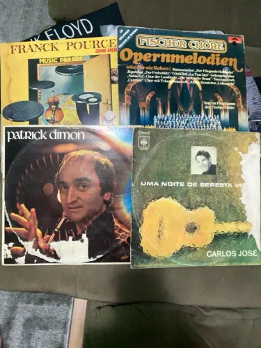 Lotes de Discos de Vinil - Clássicos e Raridades!