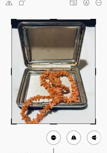 Colar de Espículas de Coral Podange