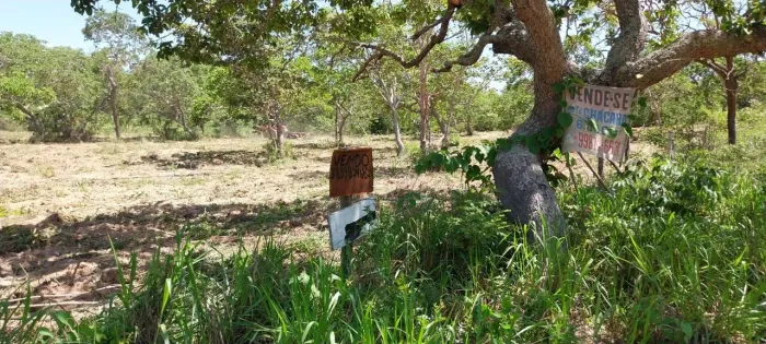 Chácara de 6 mil metros Mirabela-MG