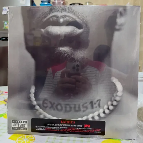 Disco de Vinil DMX - Exodus