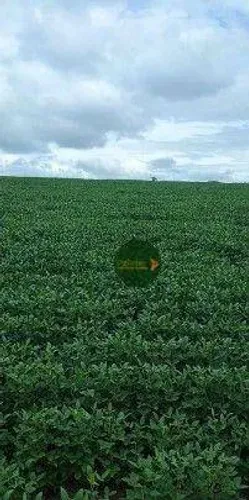 Fazenda à venda, 4660920 m² por R$ 14.445.000,00 - Zona Rural - Uruaçu/GO