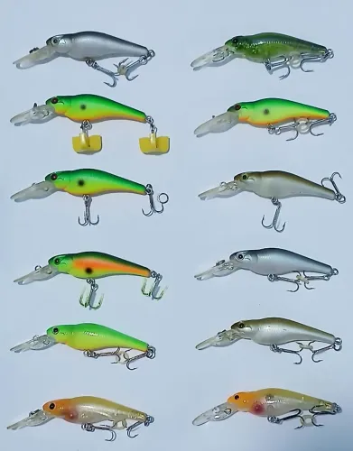 Iscas evergreen Spin move shad