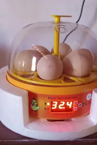 Vendo ou troca mini chocadeira automática