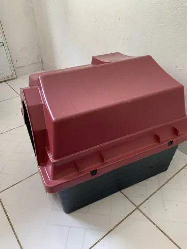 Casinha de cachorro grande