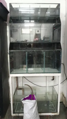 Bateria aquario completa funcionando