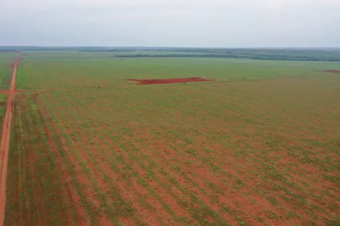 Fazenda de 1.155 hec em cana brava do norte MT. R$:45 milhões.