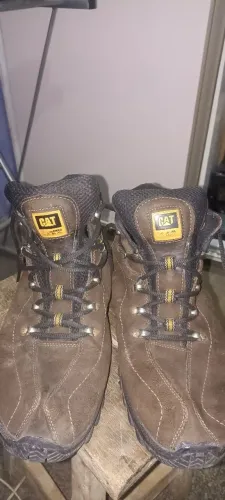 Bota cat