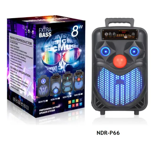 Caixa de Som Karaoke NDR-P55 com Woofer de 8 Polegadas, Controle Remoto