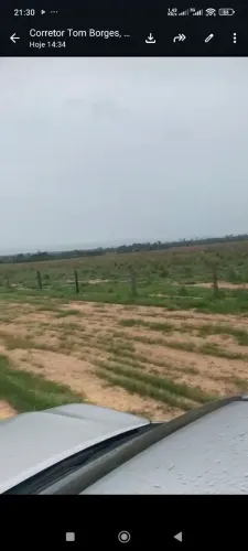 Fazenda de arrendamento em pasto 5.000hec Sul do Pará.