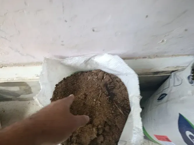 Esteco de galinha fertilizante