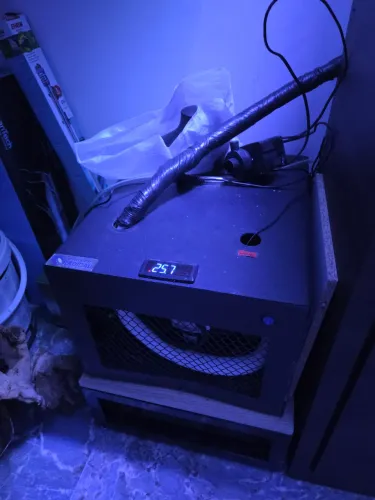 Chiller 1/3+ com titânio 