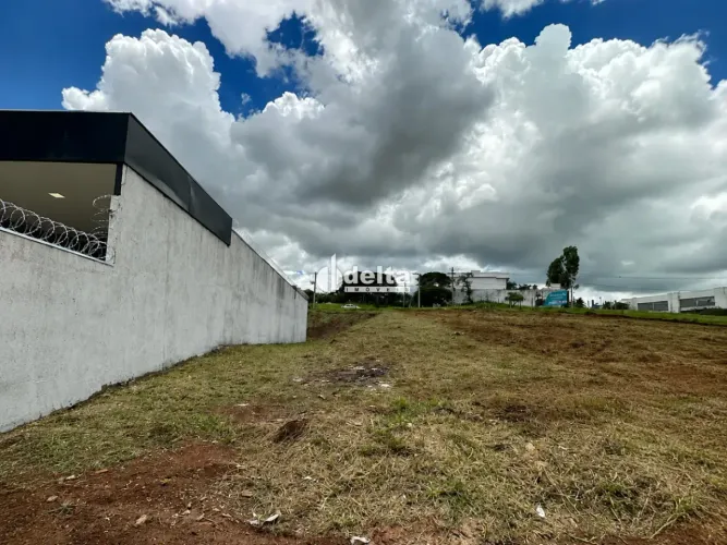 Terreno disponível para venda no bairro Jardim Inconfidência em Uberlândia-MG