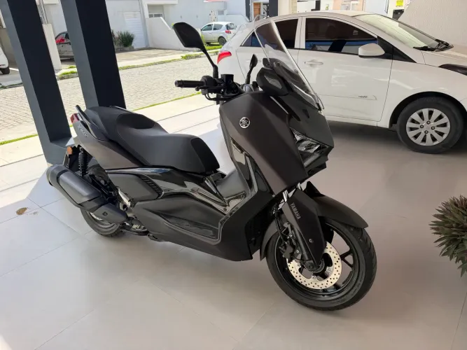 Xmax 300