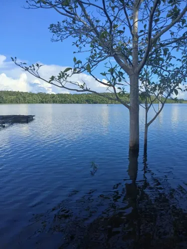 Vendo sítio no lago do Manso 