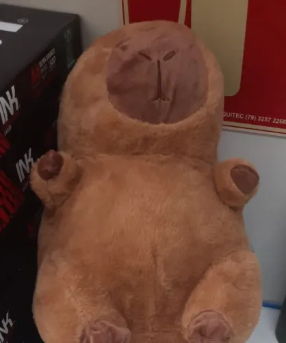 Urso pelucia