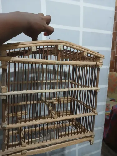Gaiola