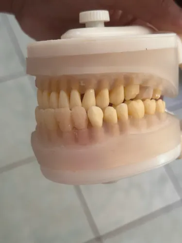 Manequim odontologico