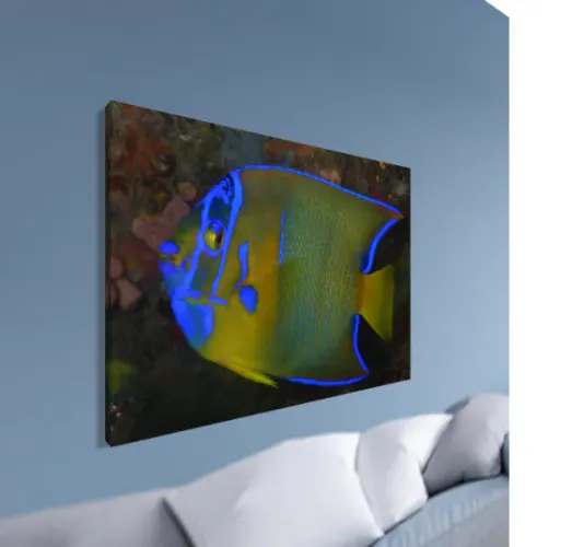 Quadro com Fotografia da Natureza (tamanho 30 x 40cm em tela canvas)