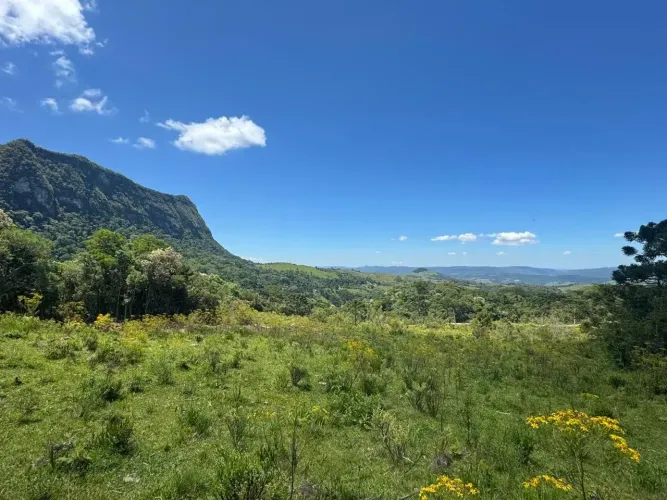 Imóvel para venda com 49000 metros quadrados em Santa Barbara - Alfredo Wagner - SC