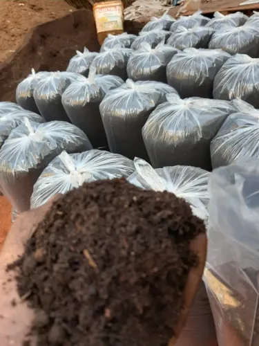 TERRA PRETA PARA JARDIM