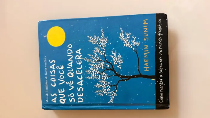 Livro - As coisas que você só vê quando desacelera 
