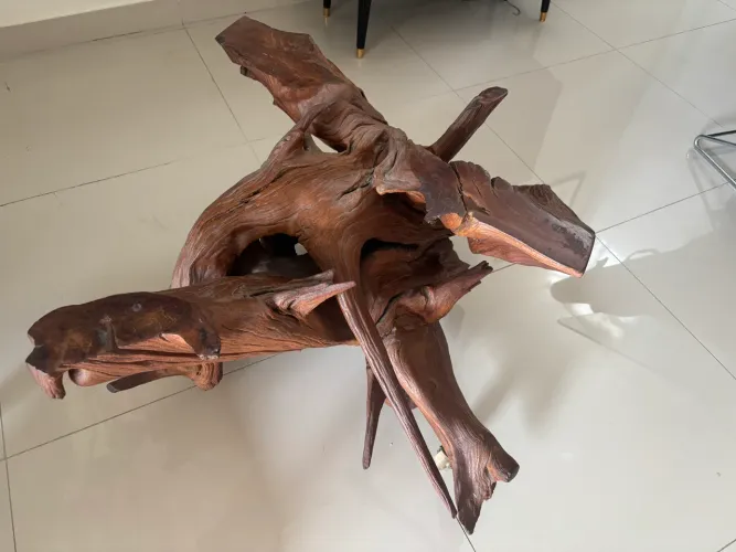 Mesa de centro raiz com tampo de vidro