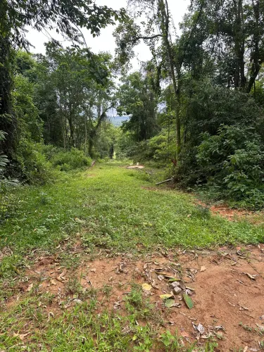Sítio 2 hectares em Cocal do Sul
