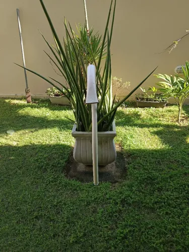 Cascata para piscina, bico de pato