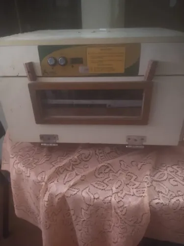 Chocadeira para 100 ovos automática