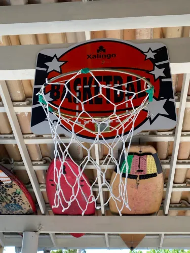 Cesta de basquete 