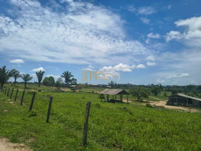 FAZENDA PRODUTIVA À VENDA