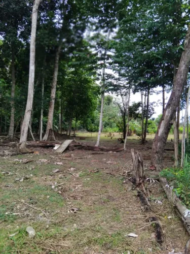 Sítio São Damião 2
