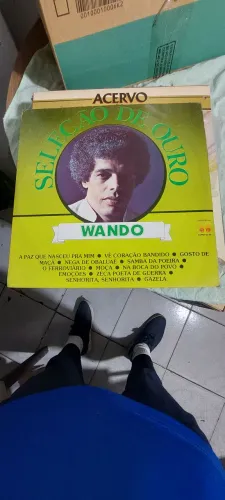 Wando seleção de ouro desapego oportunidade