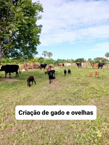 Fazenda/Sítio/Chácara com 12 hectares com uma casa  cural açude escritura pública 100% cer