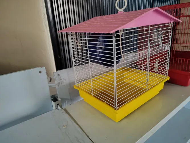 Linha gaiola para seu hamster. Espessuras: 30cmx30cmx22cm.