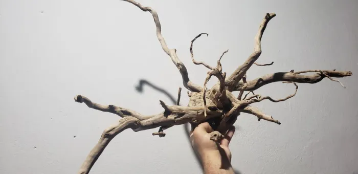 Raíz natural para aquário
