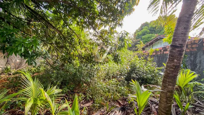 Terreno em Nova Brasília - Salinópolis, PA